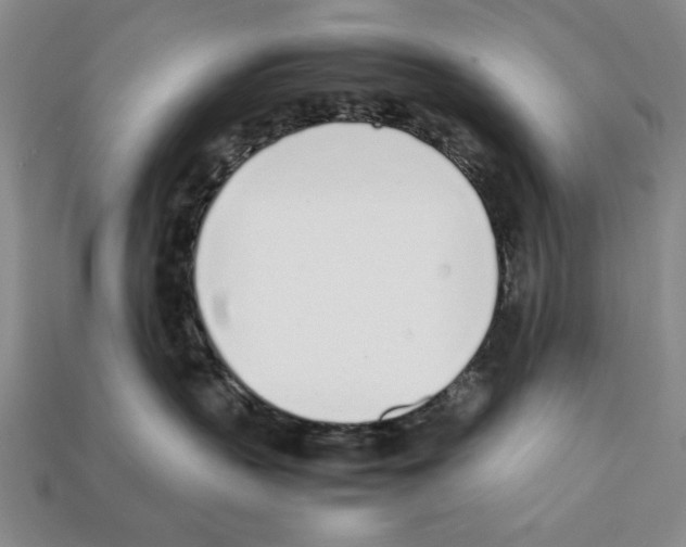 X0000112040383200909141122