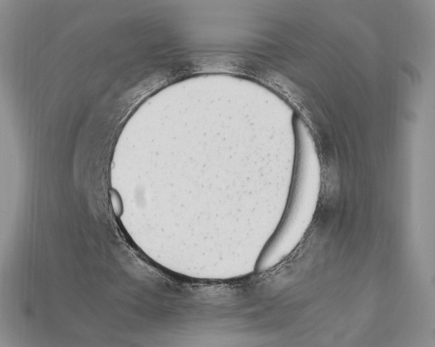 X0000112040385200909141121