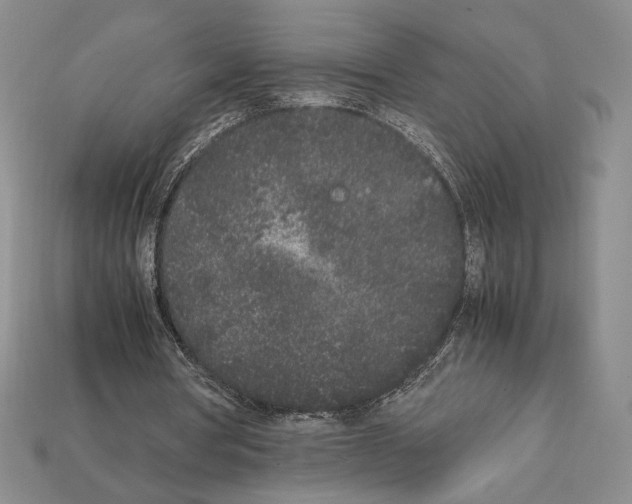 X0000112040386200909141121
