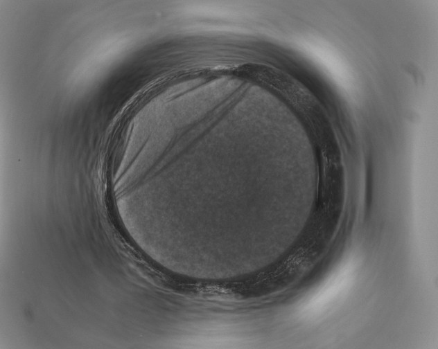 X0000112040387200909141121