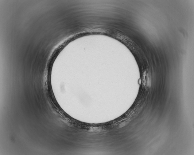 X0000112040388200909141121
