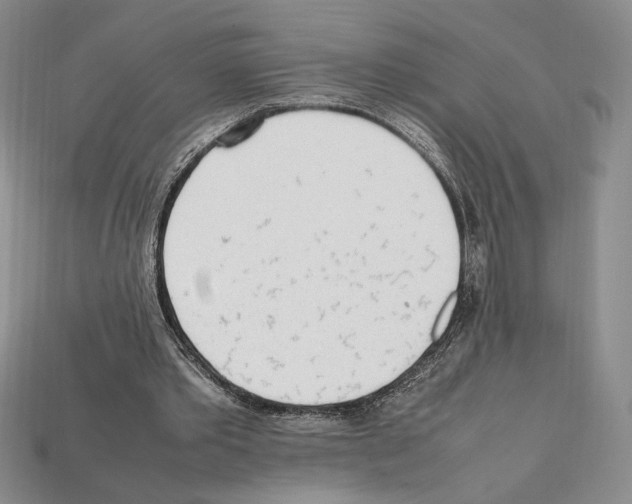 X0000112040389200909141121