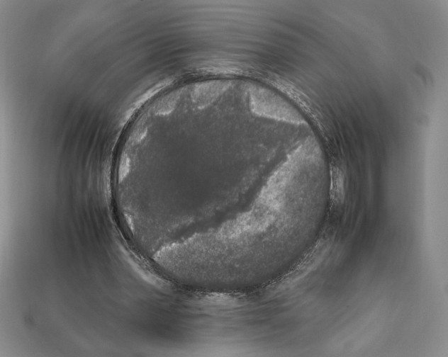 X0000112040390200909141121