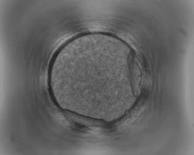 X0000112040391200909141121