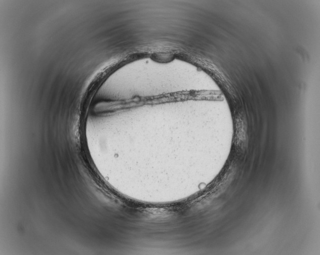 X0000112040392200909141121