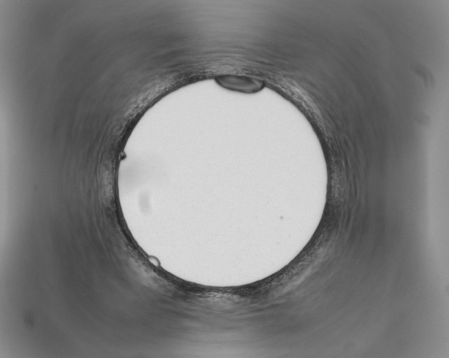 X0000112040393200909141121