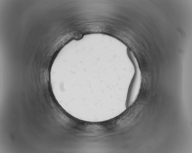 X0000112040397200909141121