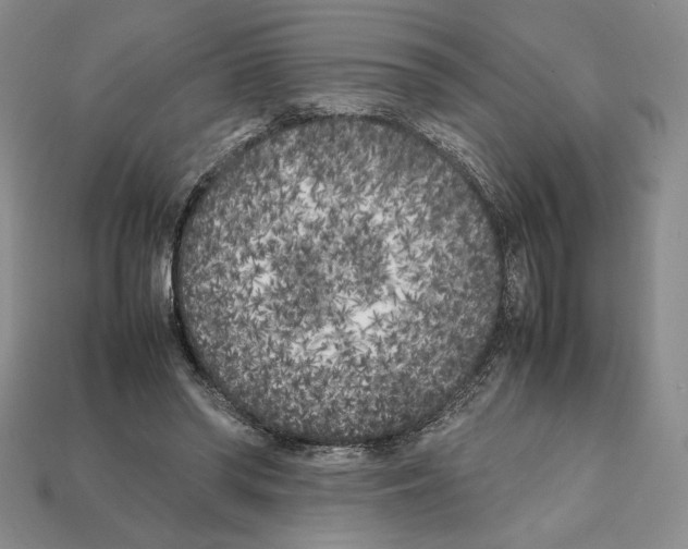 X0000112040398200909141121