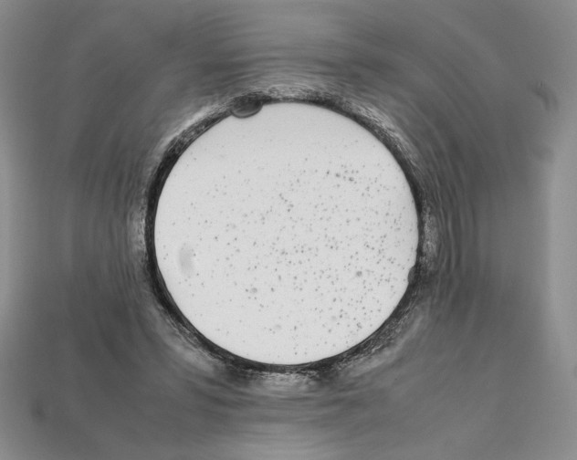X0000112040399200909141121