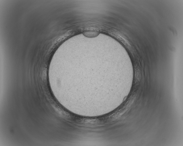 X0000112040401200909141121