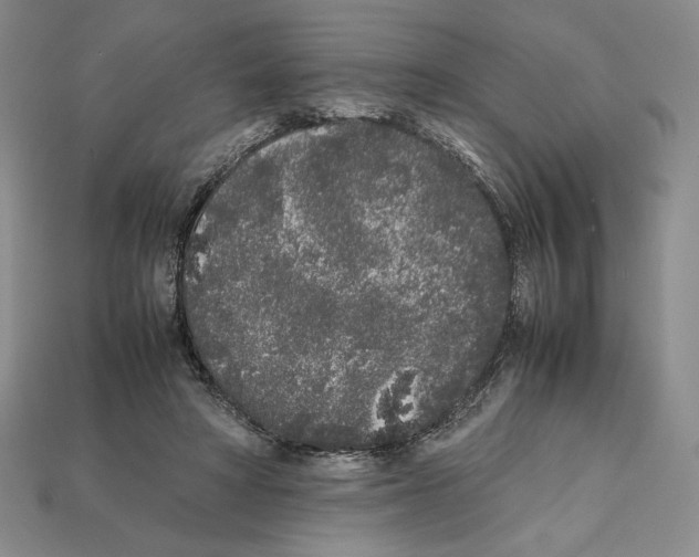 X0000112040402200909141121