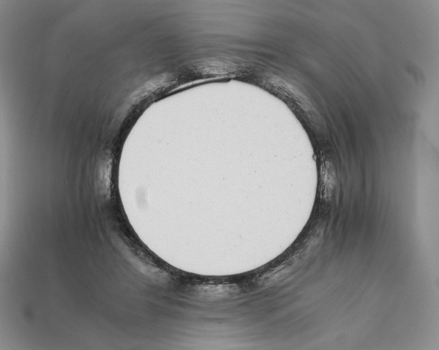 X0000112040404200909141121
