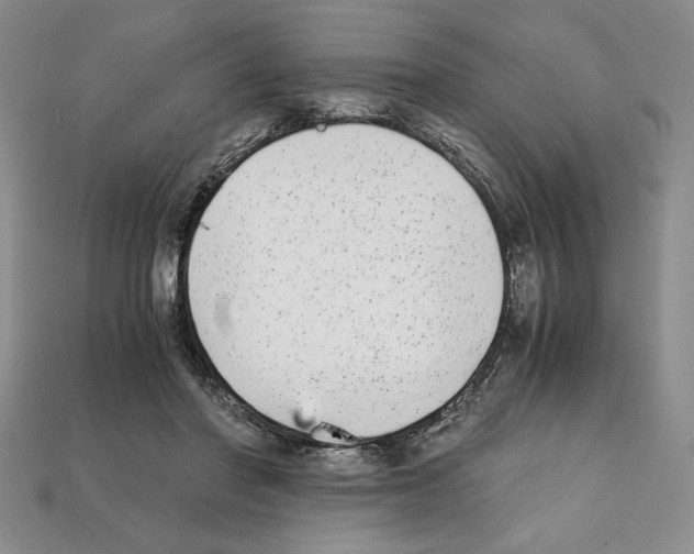 X0000112040406200909141121