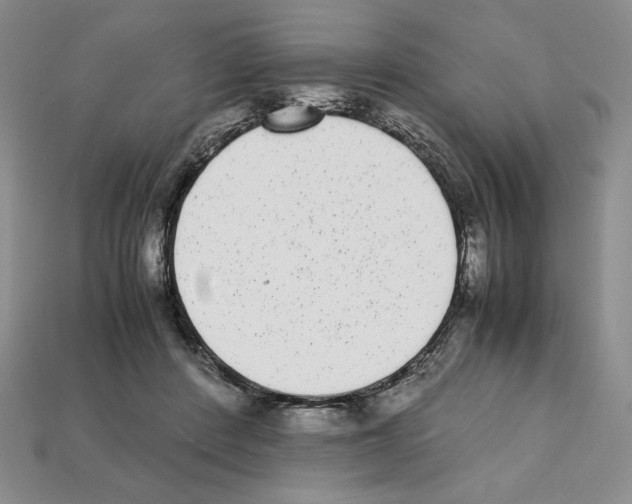 X0000112040408200909141121