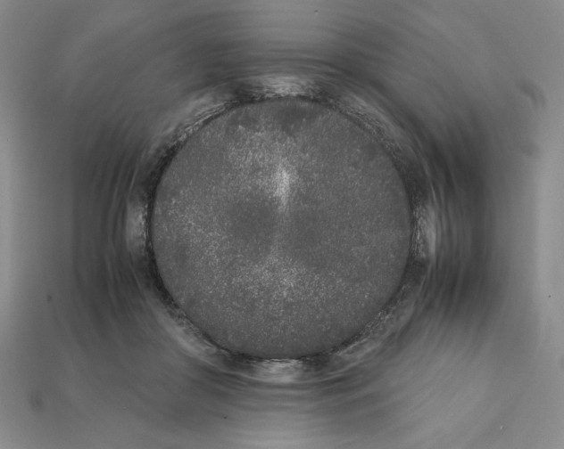 X0000112040410200909141121