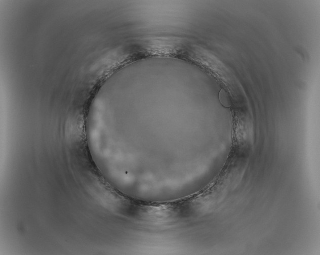 X0000112040411200909141121