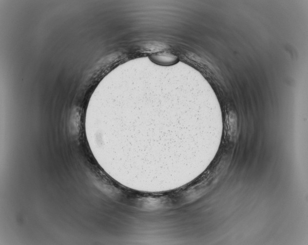 X0000112040412200909141121