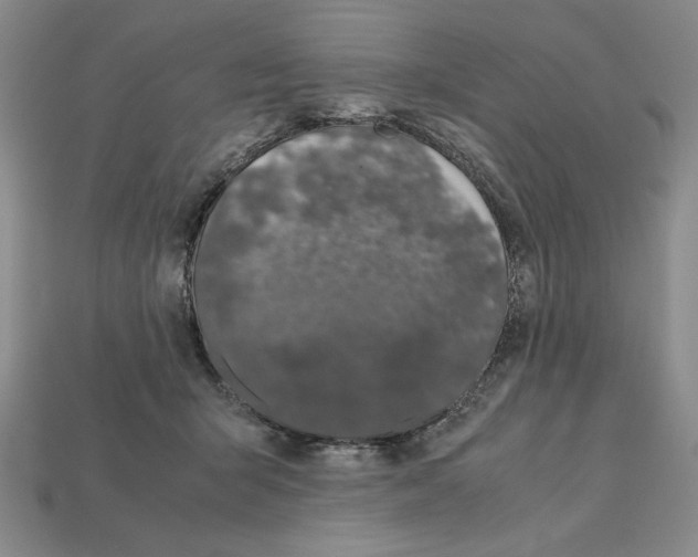 X0000112040415200909141121