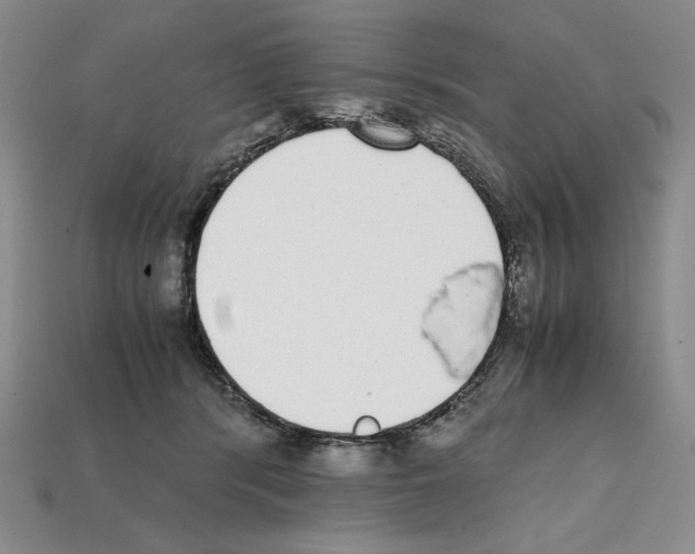 X0000112040416200909141121