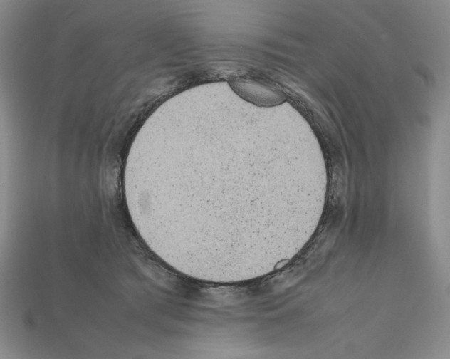 X0000112040417200909141121