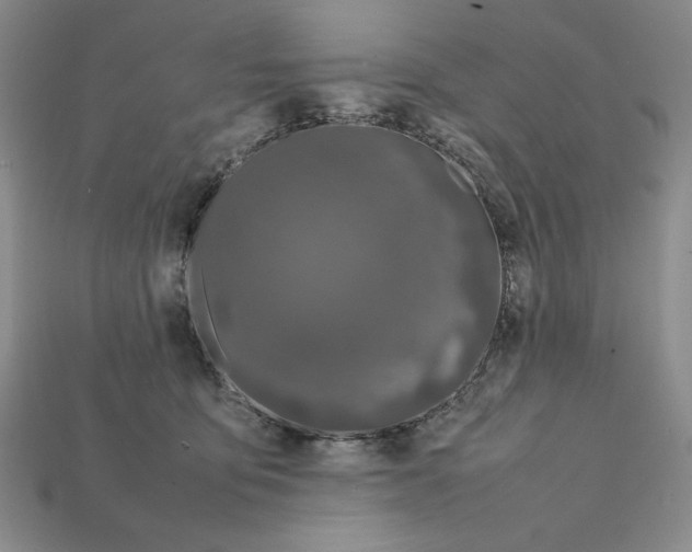 X0000112040419200909141121