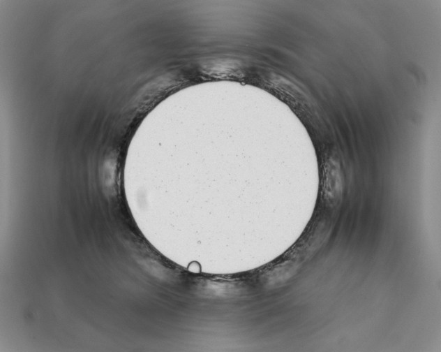 X0000112040420200909141121