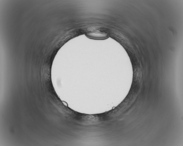 X0000112040421200909141121