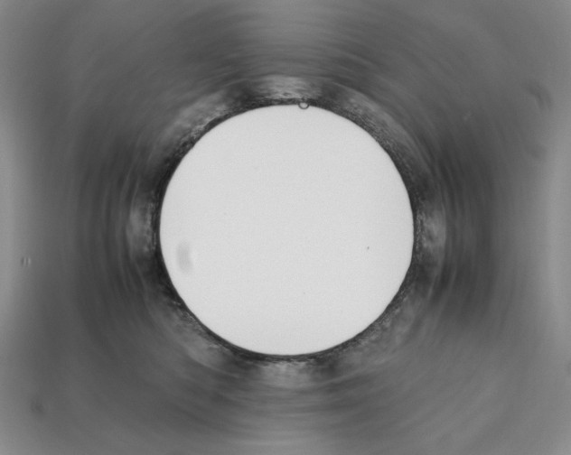 X0000112040422200909141121