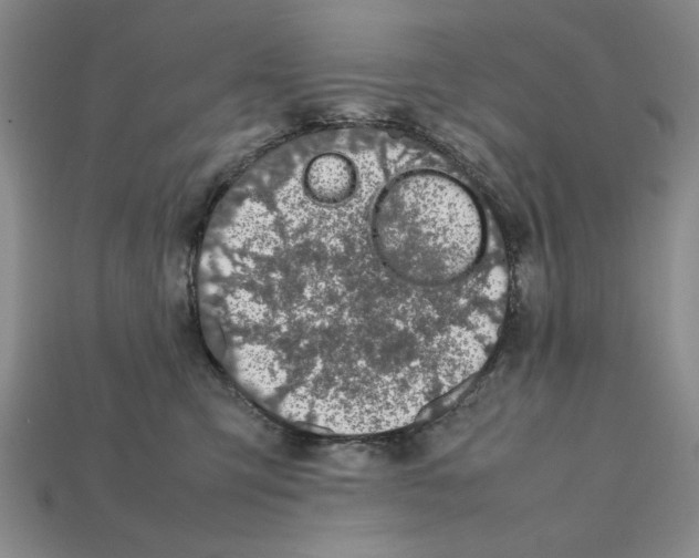 X0000112040423200909141121