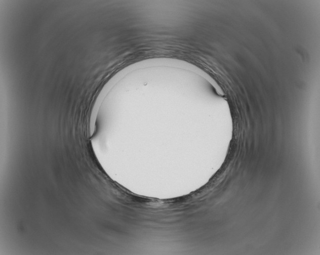 X0000112040425200909141121