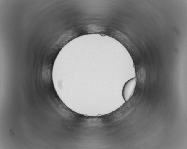 X0000112040426200909141121
