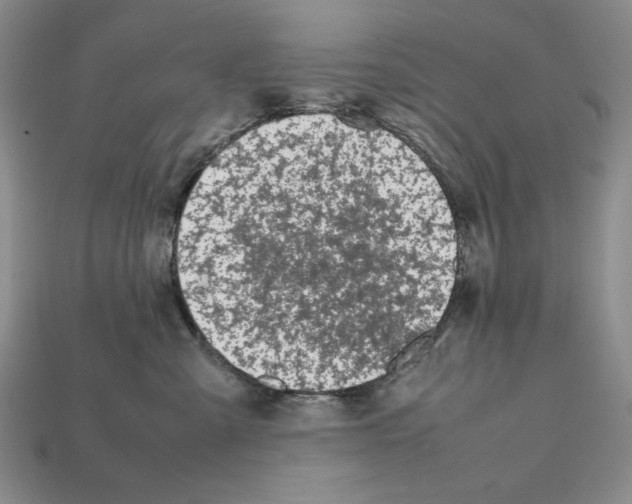 X0000112040427200909141121