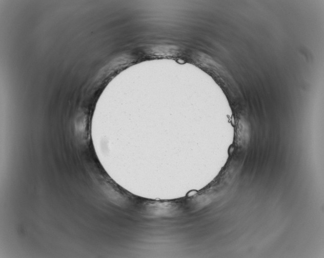 X0000112040428200909141121