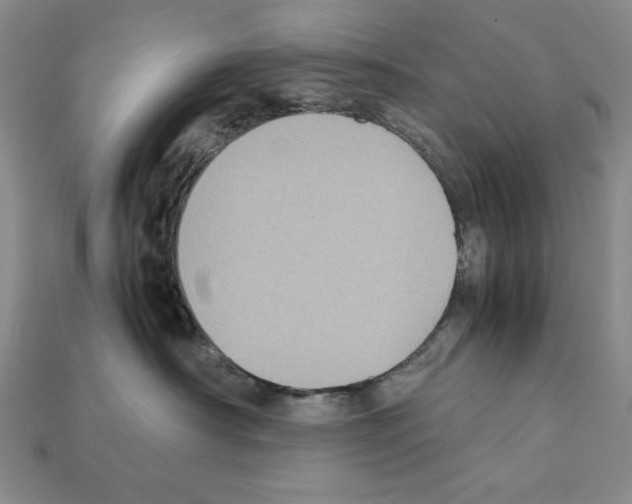 X0000112040430200909141121