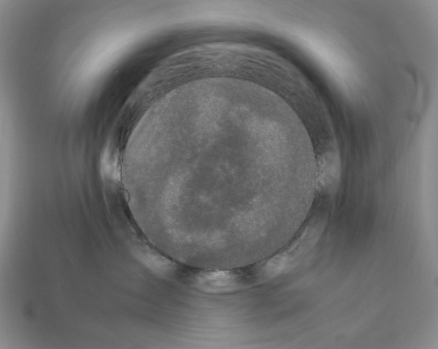 X0000112040431200909141121
