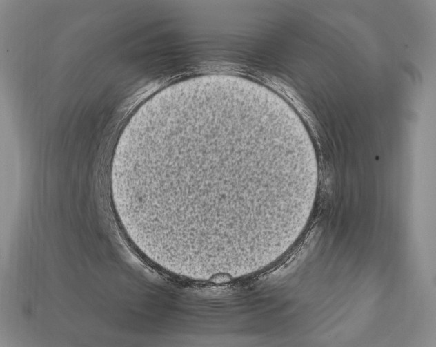 X0000112040433200909141120