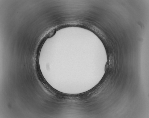 X0000112040436200909141120