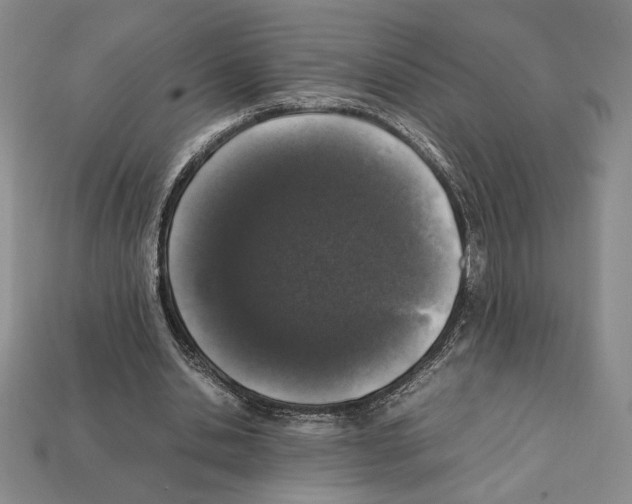 X0000112040438200909141120