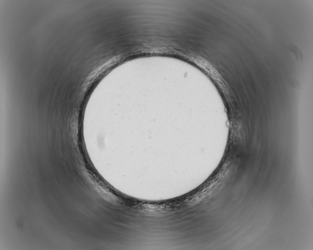 X0000112040442200909141120
