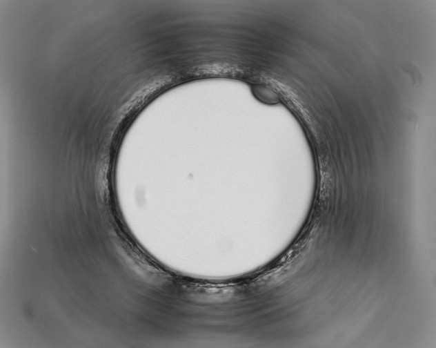 X0000112040443200909141120
