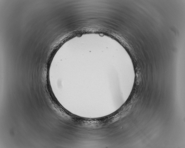 X0000112040446200909141120