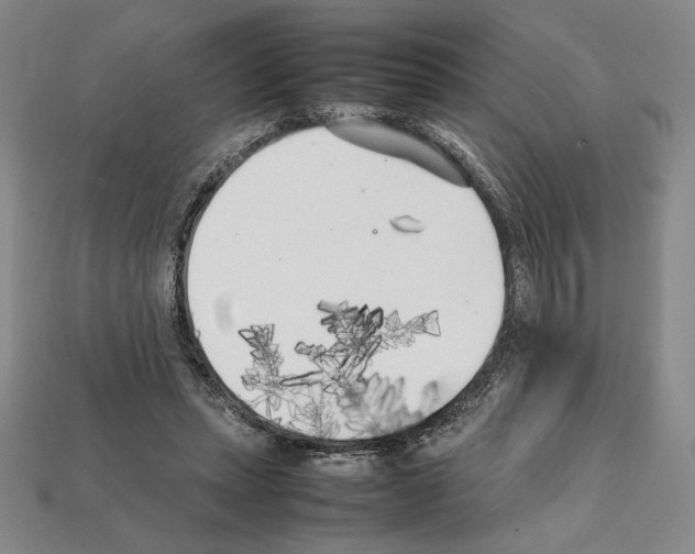 X0000112040447200909141120