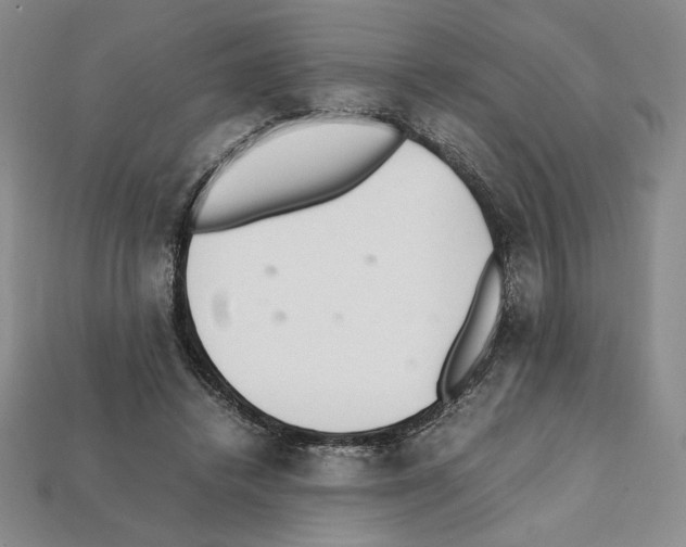 X0000112040448200909141120