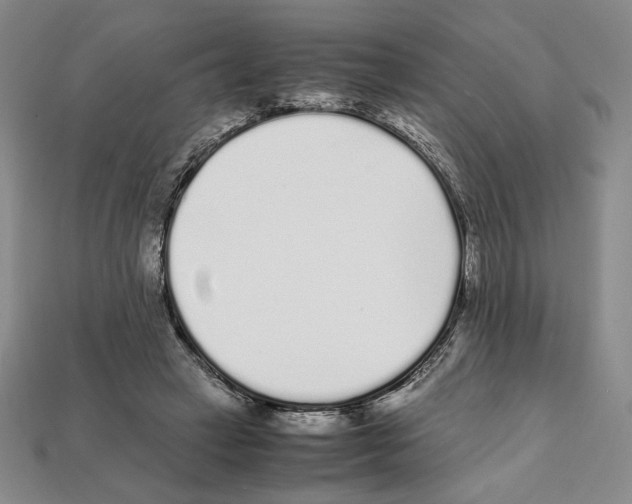X0000112040449200909141120