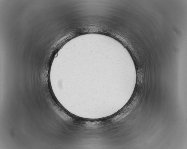 X0000112040450200909141120