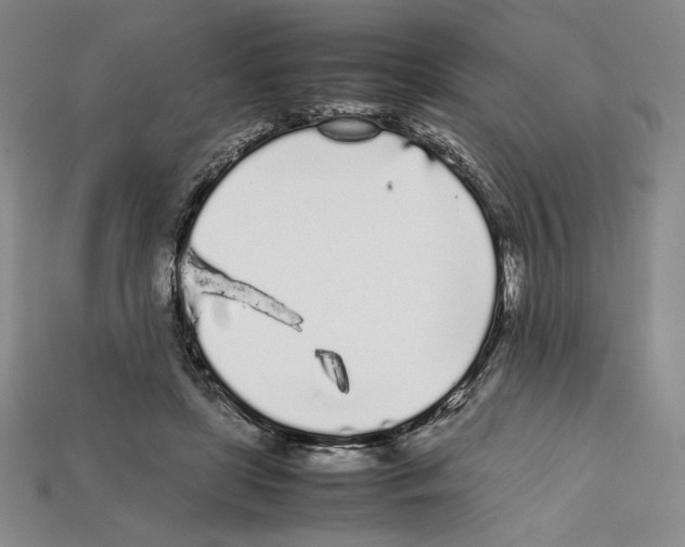 X0000112040451200909141120