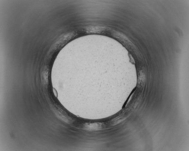 X0000112040452200909141120