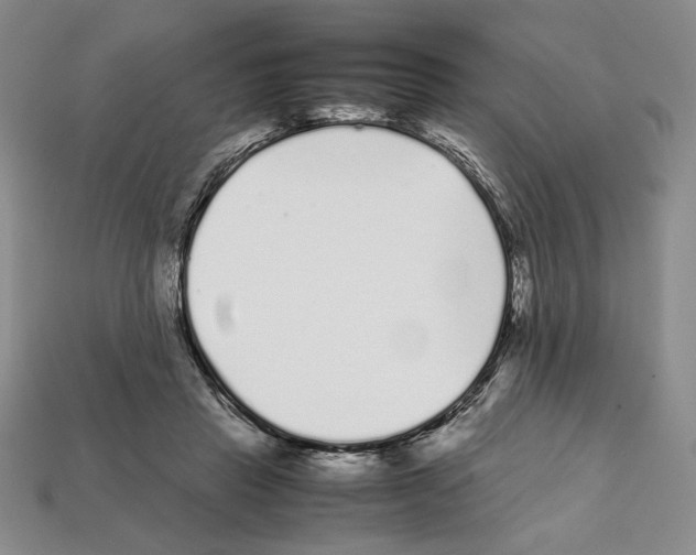 X0000112040453200909141120