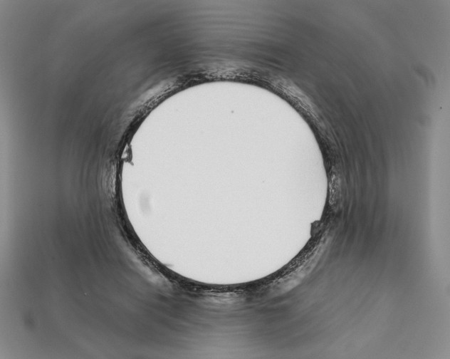 X0000112040454200909141120