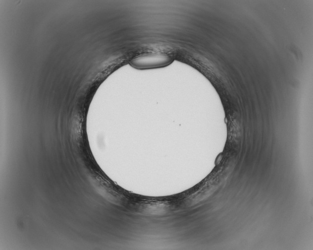 X0000112040456200909141120